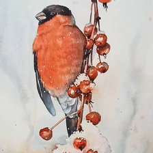 Схема вышивки «Снегирь»