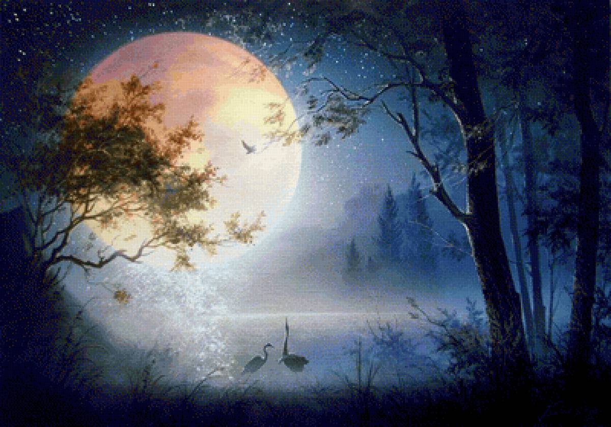 лунная ночь - природа, пейзаж, вода, луна, ночь - предпросмотр
