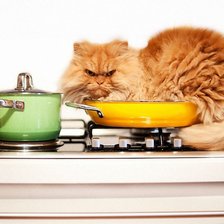 Схема вышивки «№2289444»