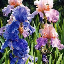 Схема вышивки «букет»