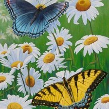 Схема вышивки «Ромашки»