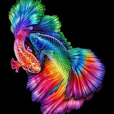 Оригинал схемы вышивки «Rainbow Betta Fish» (№2289785)