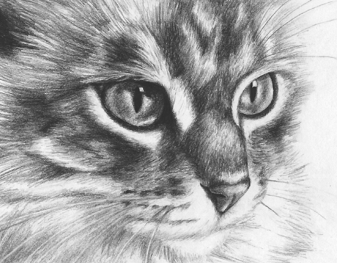 №2289820 - оригинал