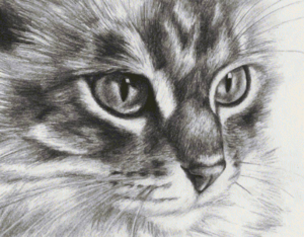 №2289820 - предпросмотр