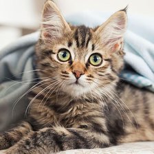 Схема вышивки «Так теплее»