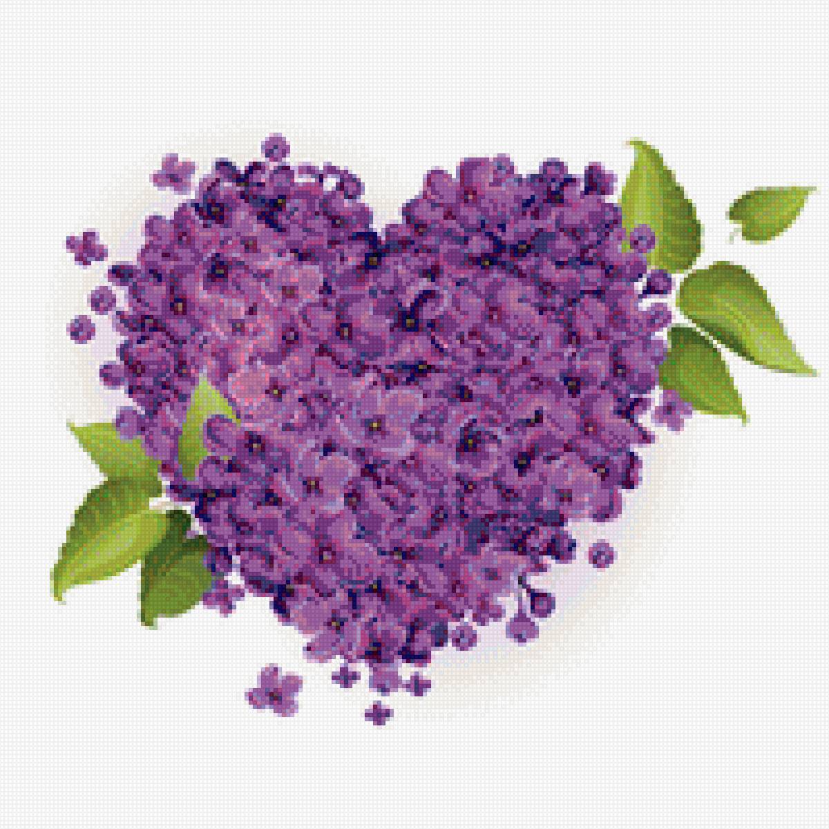 Сердечко из сирени - сирень, сердце - предпросмотр