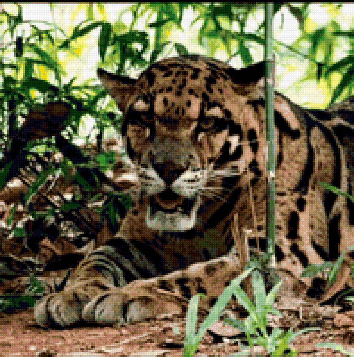 Леопард - коты, тигры, львы, кошки - предпросмотр