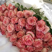 Схема вышивки «Розы»