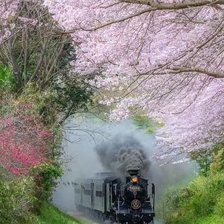 Схема вышивки «El tren»