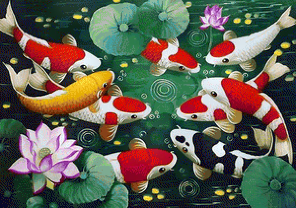 Lucky Koi Fish - fish - предпросмотр