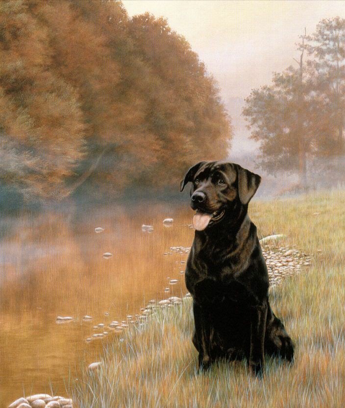 Лабродор. Даниэль Кевин Хемминг - художники - оригинал