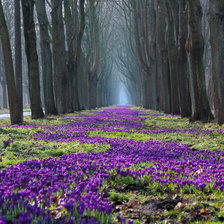 Схема вышивки «Весенний лес»