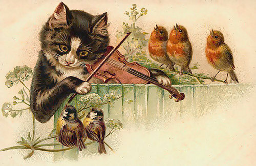 котик - музыка, кот, птицы - оригинал