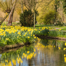 ЦВЕТУЩИЕ БЕРЕГА