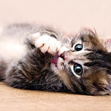 Схема вышивки «умывание»