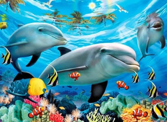 Dolphins Under the Sea - dolphins - оригинал
