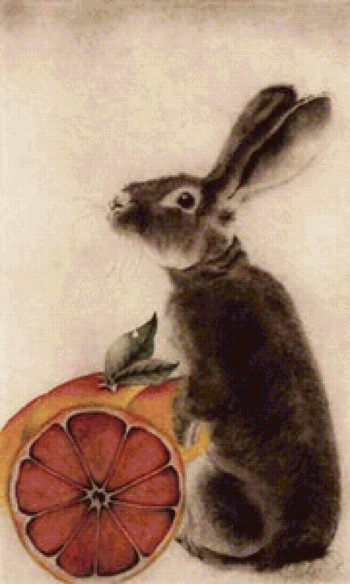 Кролик и апельсин - #кролик - предпросмотр