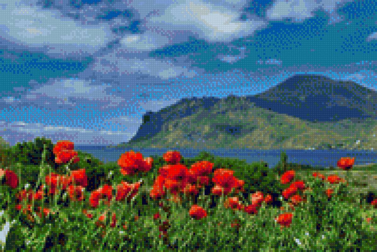 маки - крым, весна, маки - предпросмотр