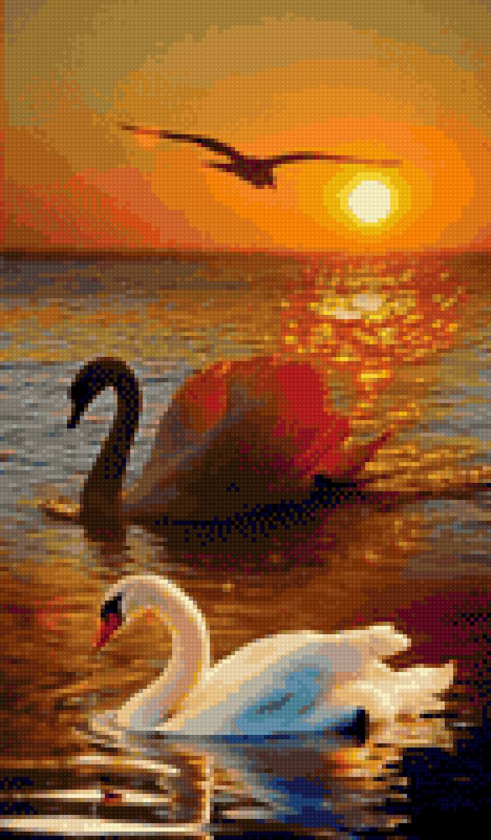 Лебеди - природа, красота, лебеди, река, закат - предпросмотр