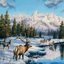 Схема вышивки «лоси»