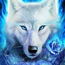 Волк в синих тонах
