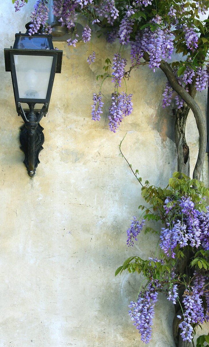 фонарь в саду - натюрморт - оригинал