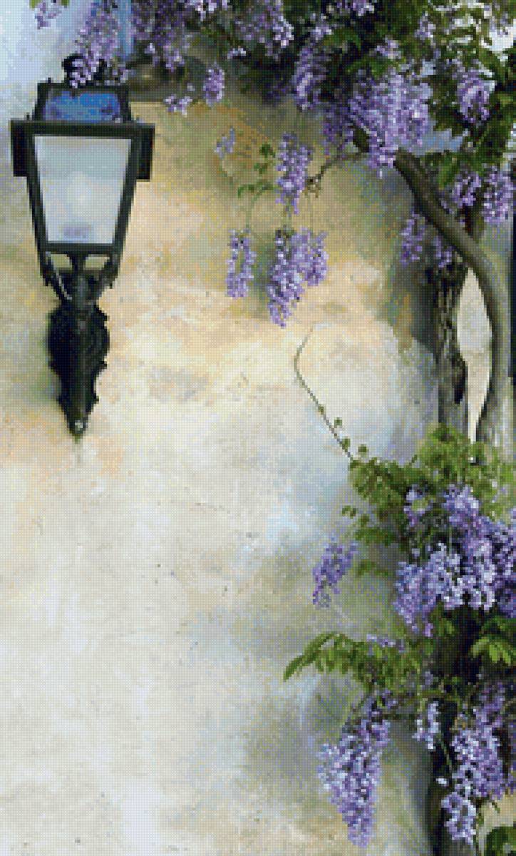 фонарь в саду - натюрморт - предпросмотр