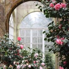 Схема вышивки «вечер»