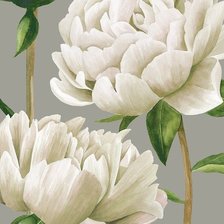 Схема вышивки «Пионы»