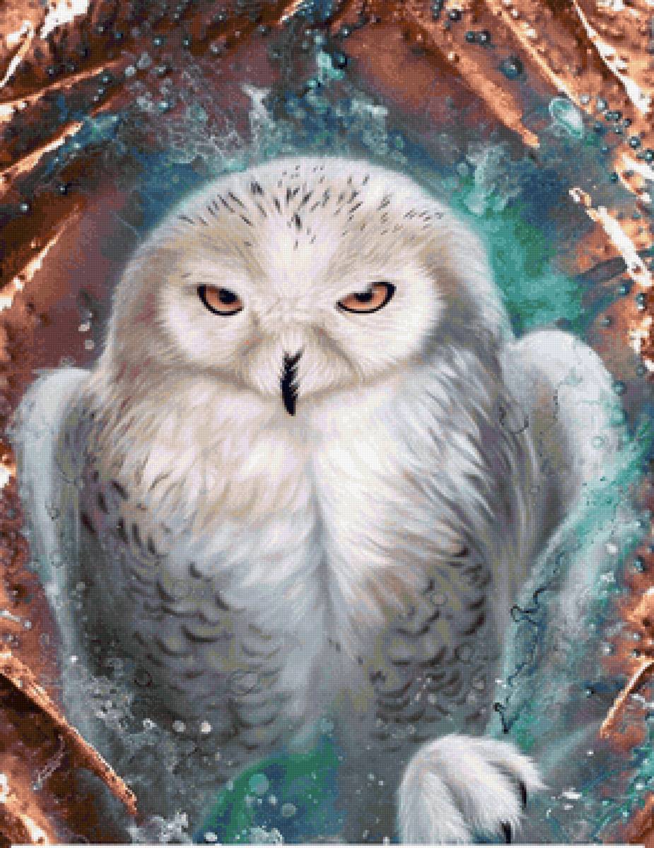 Coruja. - pássaro. - предпросмотр