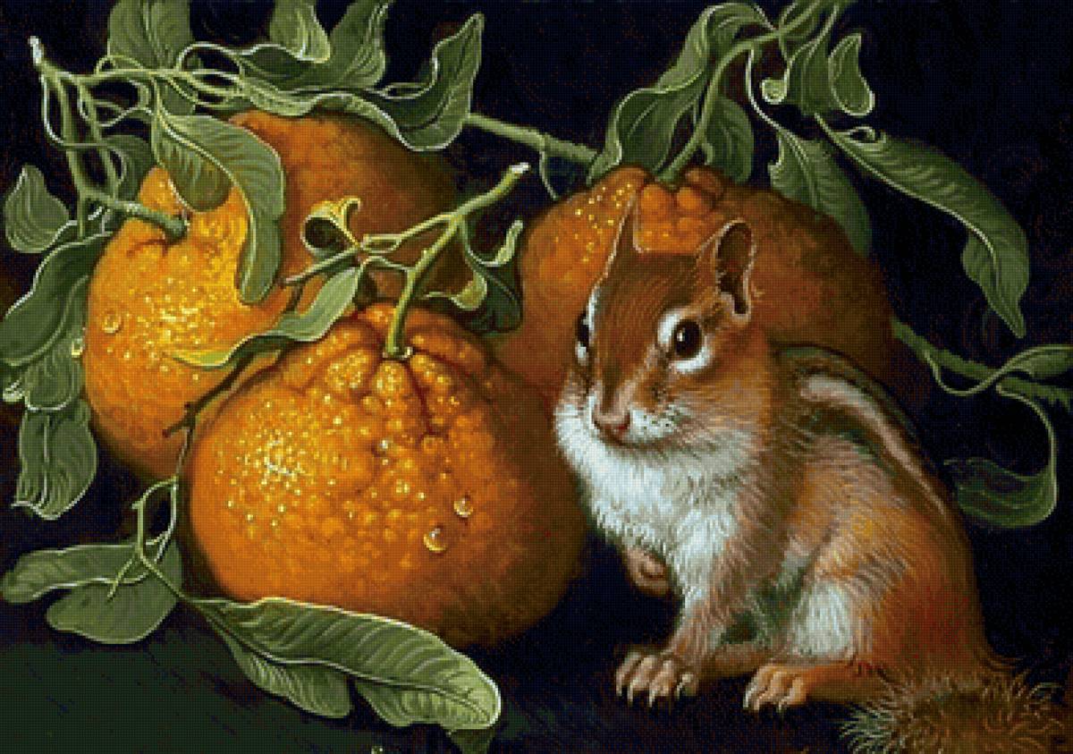 Esquilo. - animais.frutas. - предпросмотр