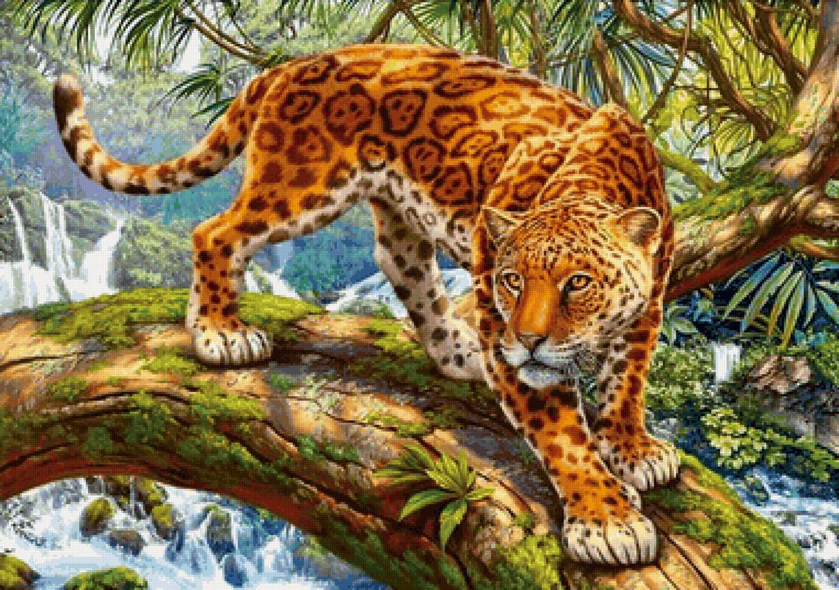 Onça pintada. - animais.natureza.rio. - предпросмотр