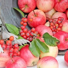 Схема вышивки «Натюрморт»