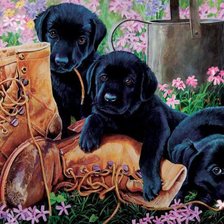 Схема вышивки «На лужайке»