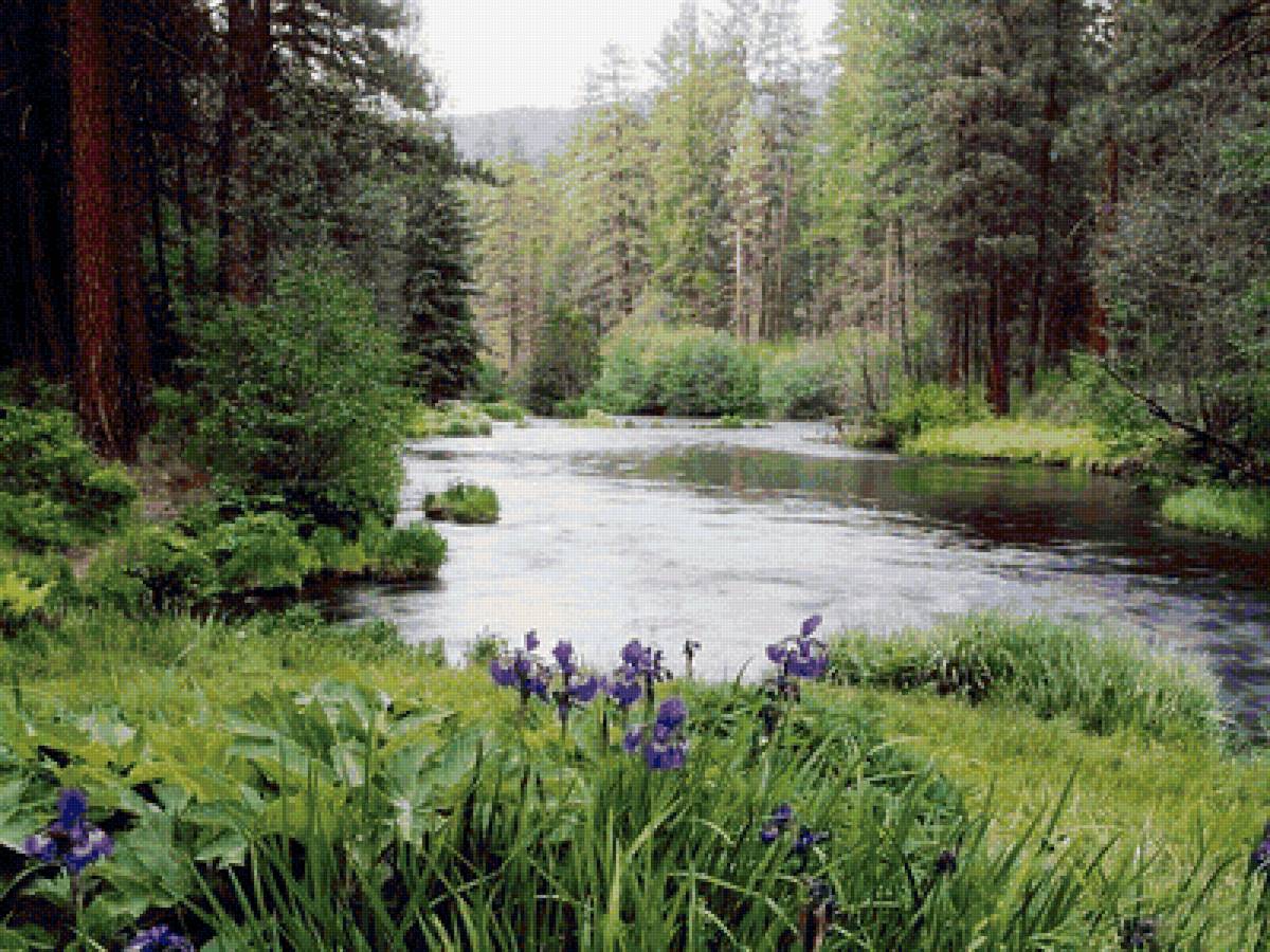 Природа - предпросмотр