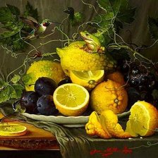 Схема вышивки «Натюрморты Яны Мовчан (Yana Movchan)»