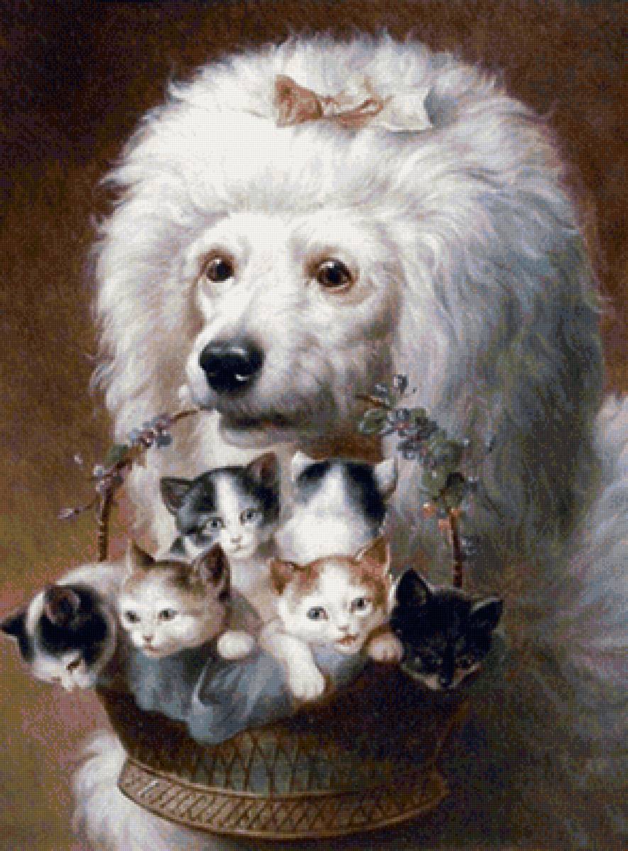 Пудель и котята - предпросмотр