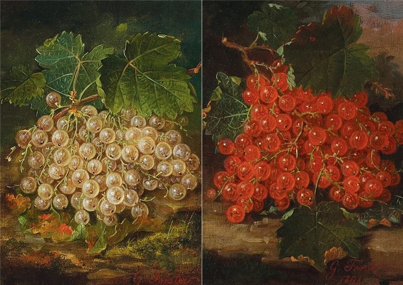 GEORGE E. FORSTER - смородина, натюрморт, ягоды - оригинал