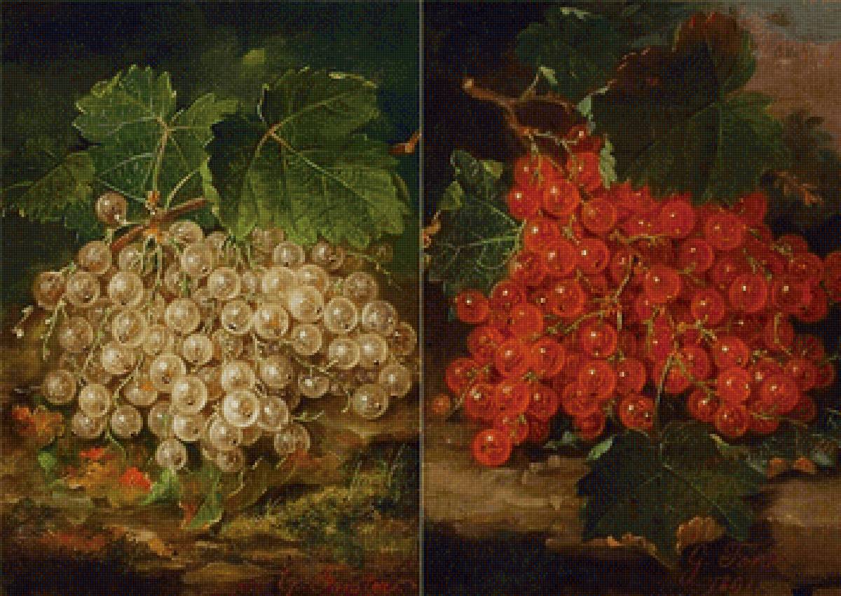 GEORGE E. FORSTER - ягоды, натюрморт, смородина - предпросмотр