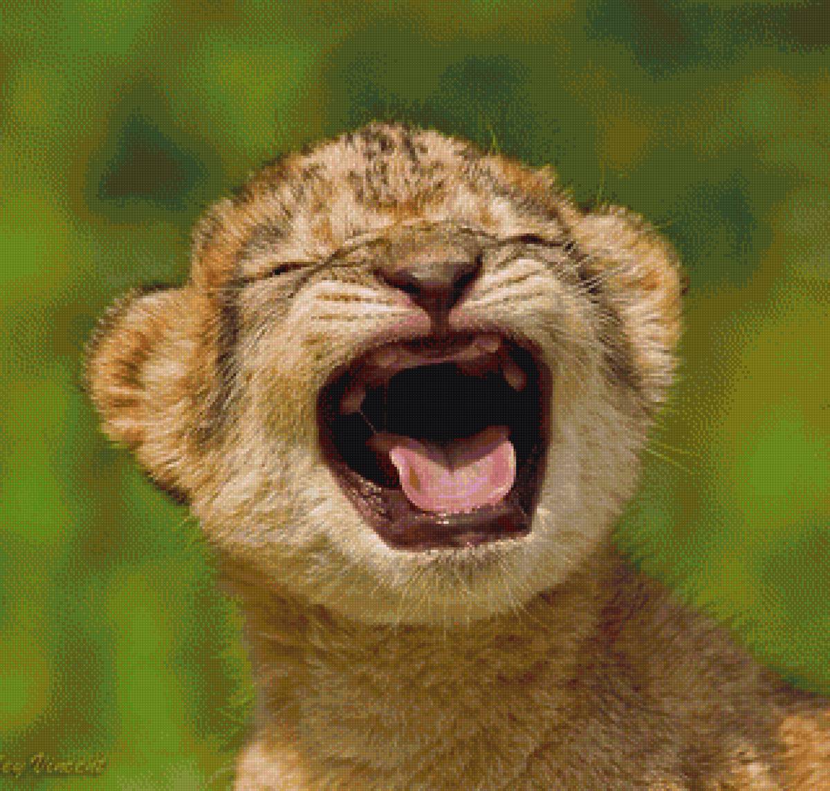 Реакция улыбающихся тварей. Веселые животные. Львенок зевает. Львенок рычит. Животные с улыбкой.