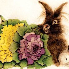 Кролики и капуста