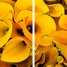 Схема вышивки «CALAS»