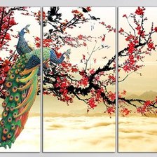 Peacock Triptych