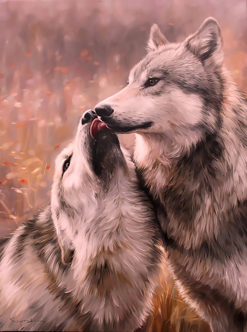 Волки. - хищники, волки, животные - оригинал