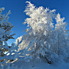 Схема вышивки «Зимний пейзаж»