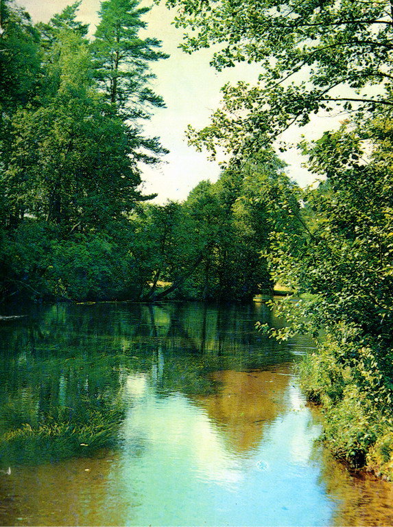 Тихий уголок - пейзаж, природа, лес, река - оригинал