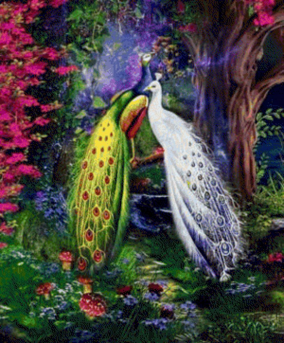 Majestic Peacocks - peacock - предпросмотр