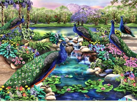 Fabulous Peacocks - peacock - оригинал