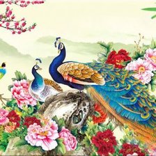 Peacocks and Flowers