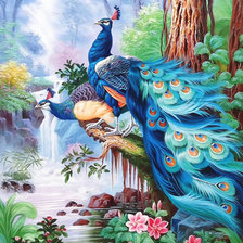 Blue Peacocks